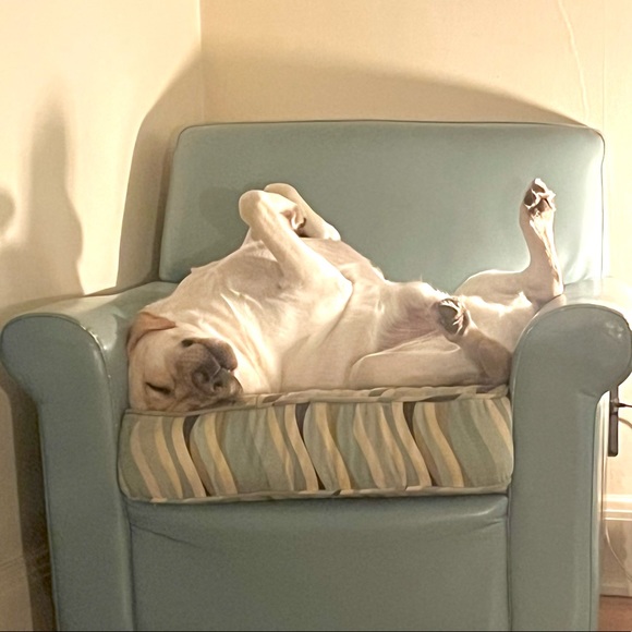 New sidekick trip to the lake .... - Picture 2 of 13